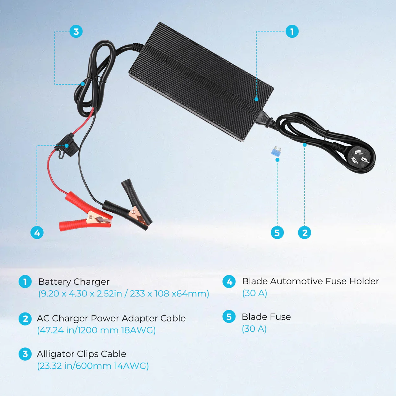12V 20A AC to DC Lithium Iron Phosphate Battery Charger - Image 6
